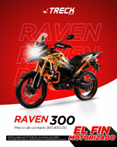 RAVEN 300 BUEN FIN