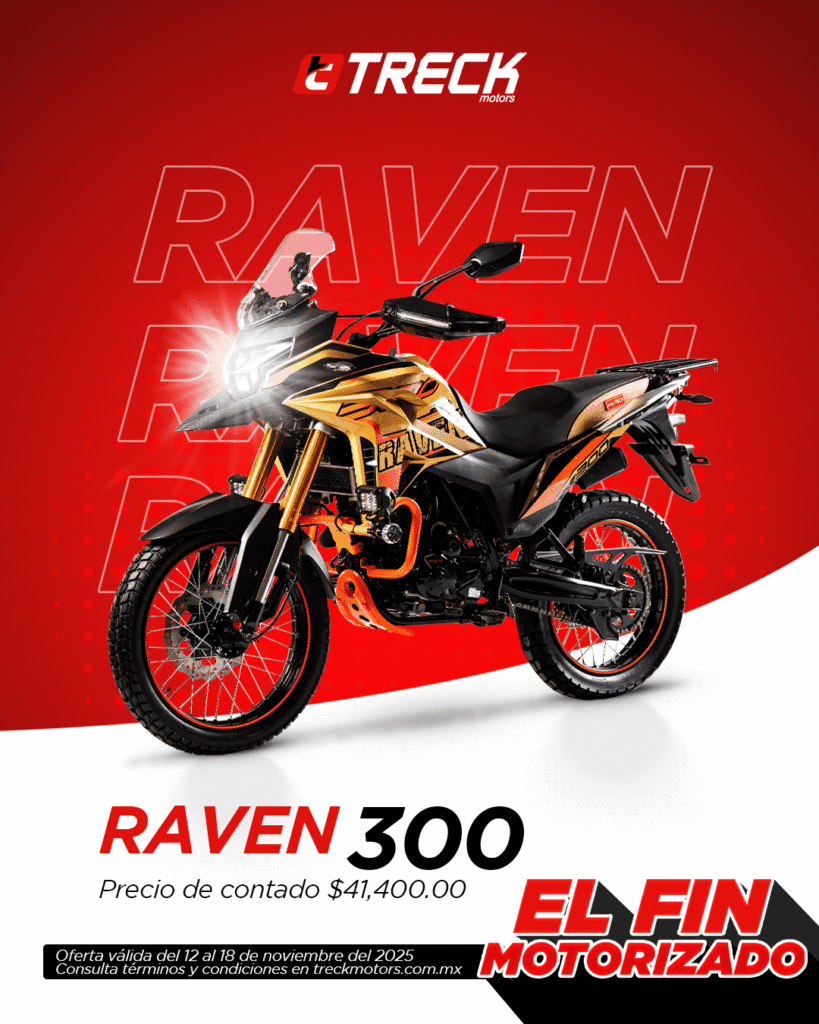 RAVEN 300 BUEN FIN