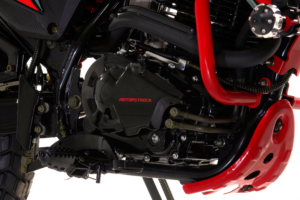 Raven 300